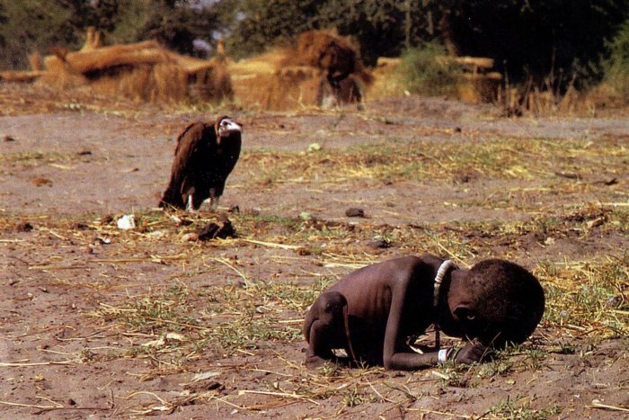 Vulture Stalking a Starving Child