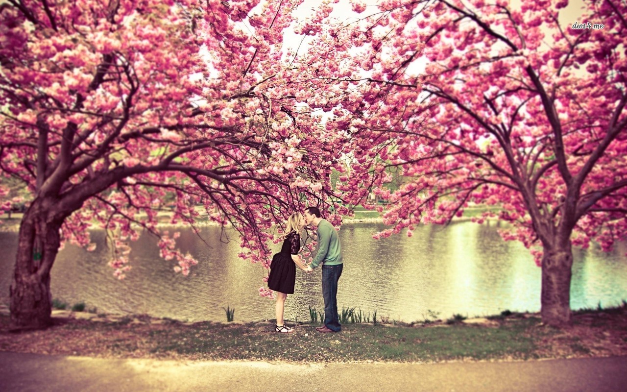 Kissing Under A Cherry Blossom Tree