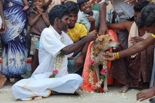 Marriage with Animal