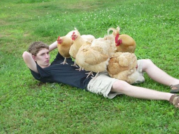 funny Confusing Photographs