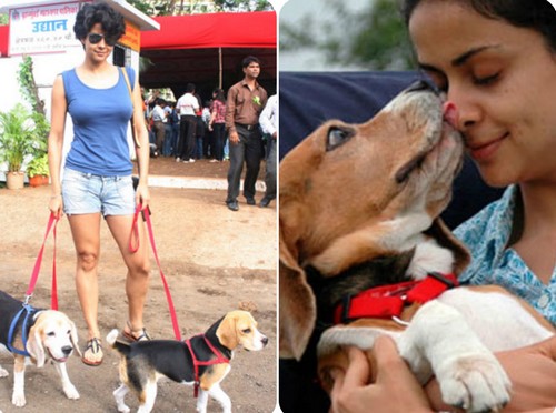 Bollywood Stars with their Pet Dogs