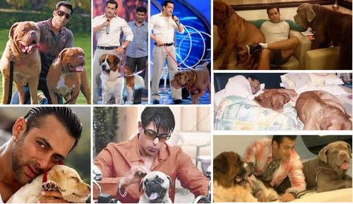 Salman Khan with dog