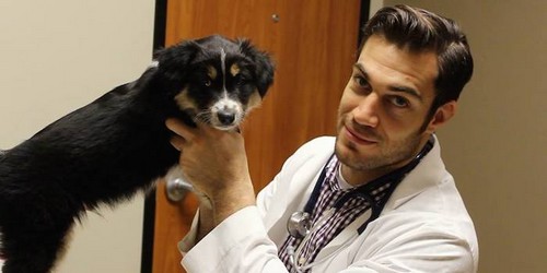 Dr. Evan Antin