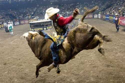 Bull Riding Most Dangerous Sports