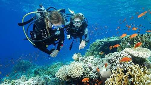Scuba Diving Most Dangerous Sports Scuba Diving Most Dangerous Sports
